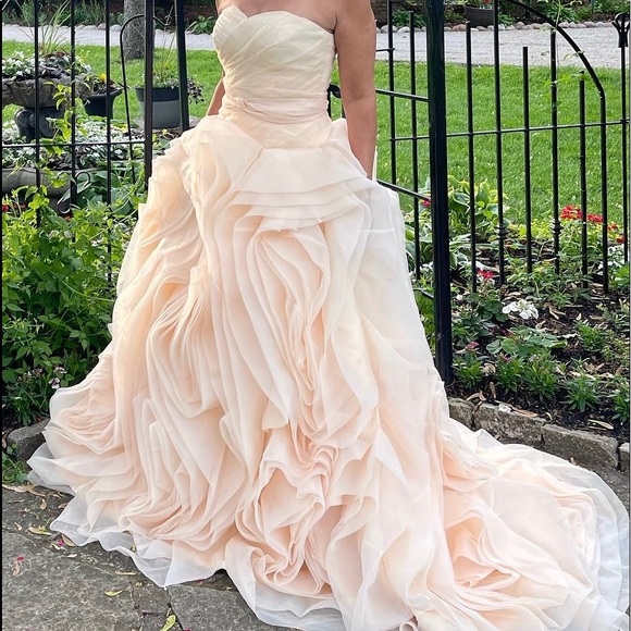 Dresses & Skirts - Blush pink organza ball gown